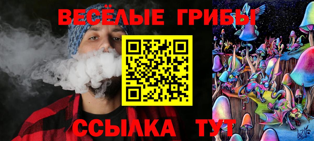 Магнитогорск  Псилоцибиновые грибы прущие грибы  Вход с VPN 