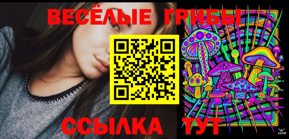 Псилоцибиновые грибы GOLDEN TEACHER Магнитогорск